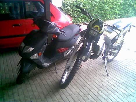 PGO Dr. Big - (Solgt) billede 4