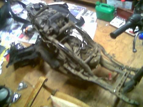 PGO Dr. Big - (Solgt) billede 6