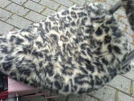 MiniBike chopper billede 7