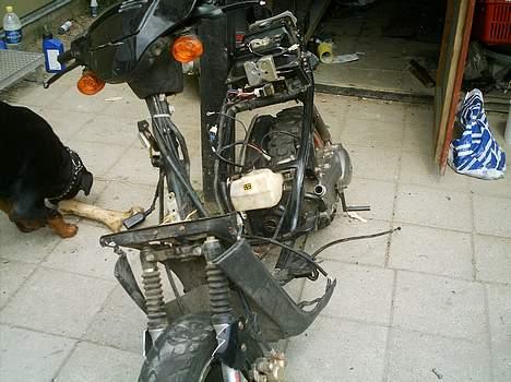 PGO hot 50 (solgt) billede 12