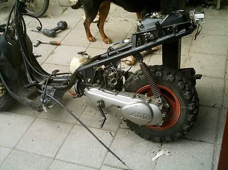 PGO hot 50 (solgt) billede 13