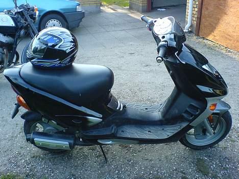 Adly tmp gazelle billede 7