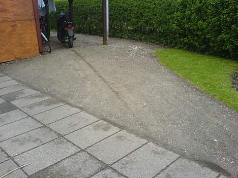 Adly tmp gazelle billede 8