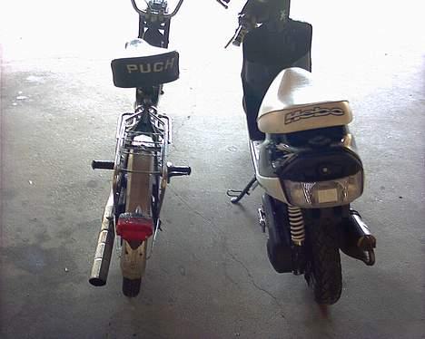 Puch maxi k billede 3