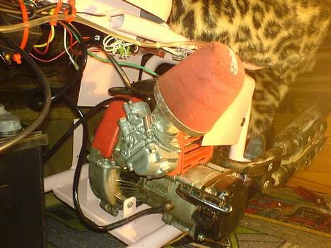 MiniBike chopper billede 10