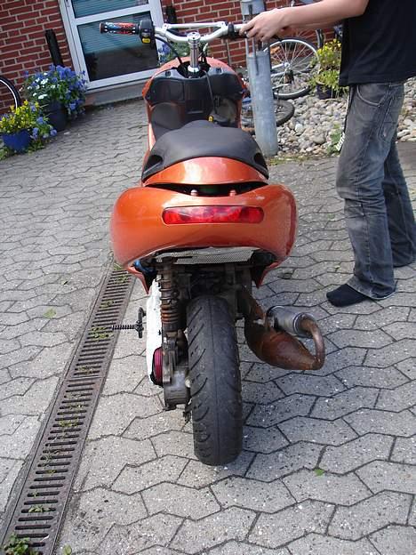 Benelli 491 Projekt (solgt) billede 6