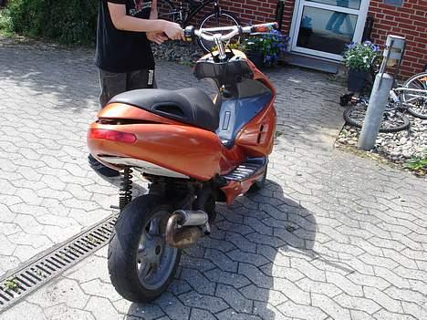 Benelli 491 Projekt (solgt) billede 9