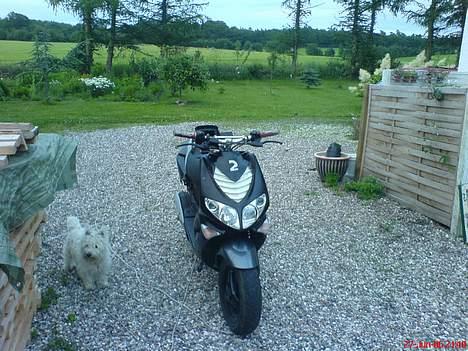 Peugeot speedfight 2 Solgt - det nye look billede 4