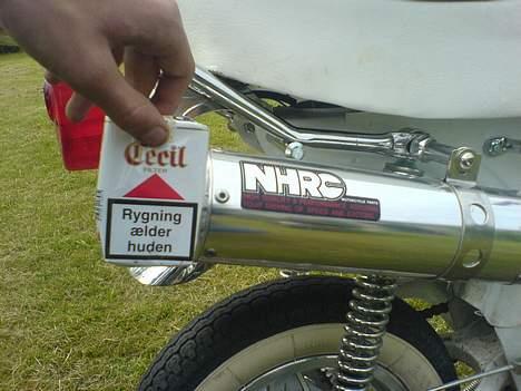 Honda dax  - den er fanme stor billede 9