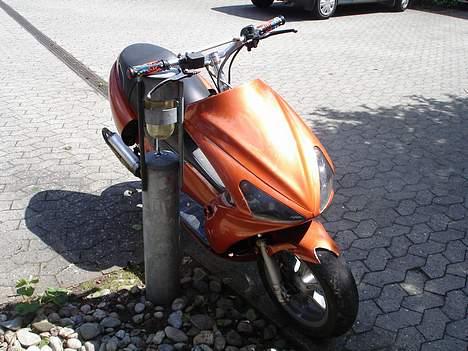 Benelli 491 Projekt (solgt) billede 16