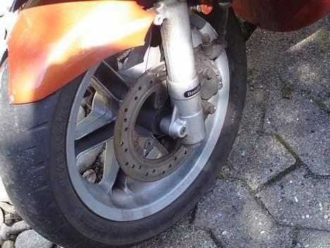 Benelli 491 Projekt (solgt) billede 18