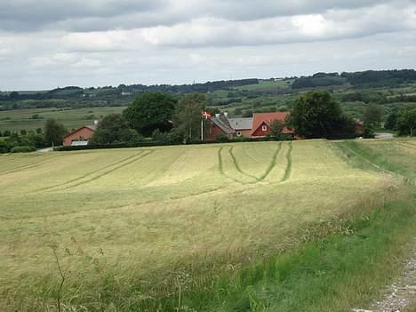 Yamaha fs1 byttet -skriv ikk- - det er så den gård jeg bor på billede 11