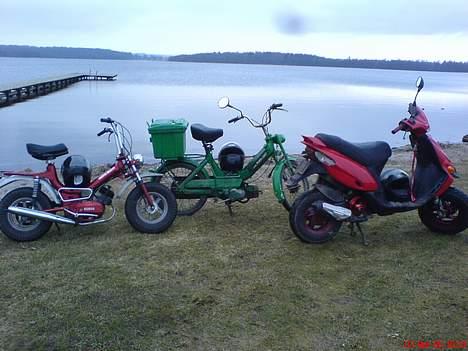 Puch maxi billede 6