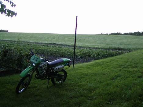 Derbi Senda R - SOLGT billede 12