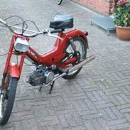 Puch Maxi KL SOLGT 