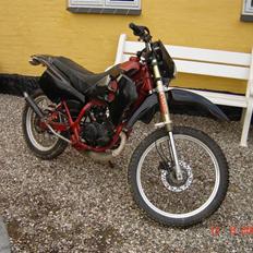 Suzuki RMX  Ghost Rider