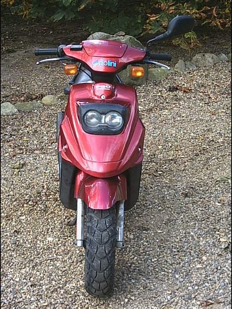 PGO Hot 50 billede 5