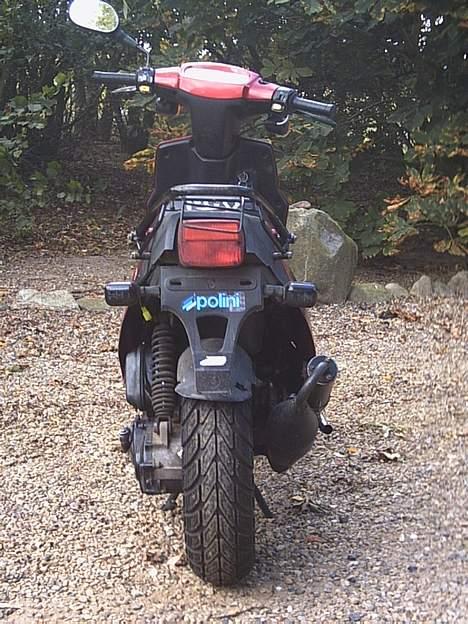 PGO Hot 50 billede 6