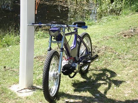 Puch Maxi **Porno**  billede 11