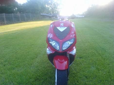 Peugeot wrc 307 billede 11