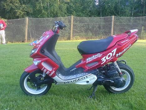 Peugeot wrc 307 billede 12