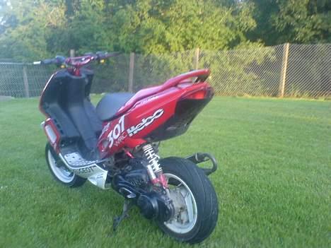 Peugeot wrc 307 billede 13