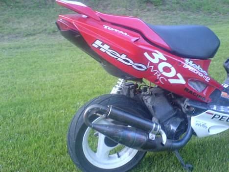 Peugeot wrc 307 billede 14