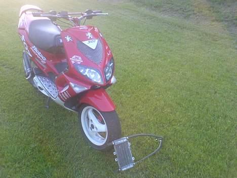 Peugeot wrc 307 billede 15