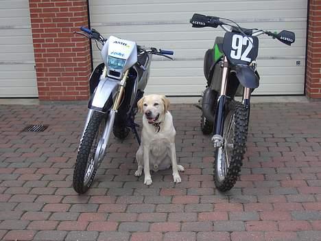 Suzuki rmx (solgt 14250) billede 17