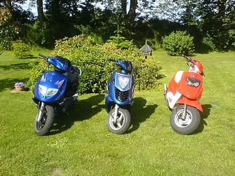 PGO hot 50 -SOLGT billede 14