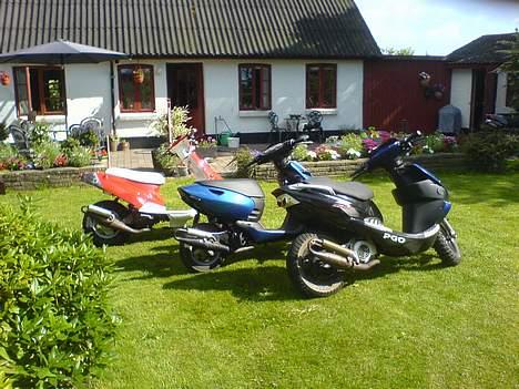 PGO hot 50 -SOLGT billede 15