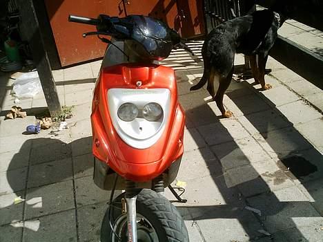 PGO hot 50 (solgt) billede 16