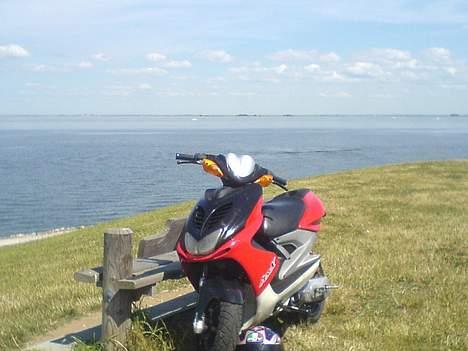 Yamaha Aerox -STJÅLET! - Yamaha AeroX  billede 1