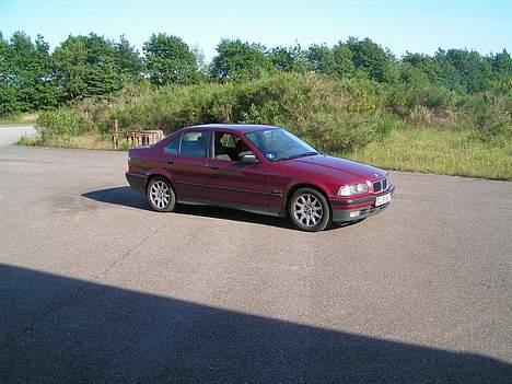 Yamaha neos SOLGT - her er lige en lille billede af min nye bmw 325i med 200hk billede 15