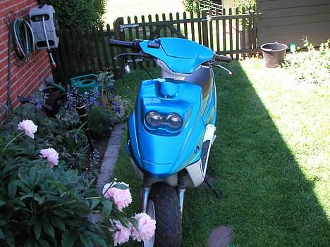 PGO hot 50 billede 10