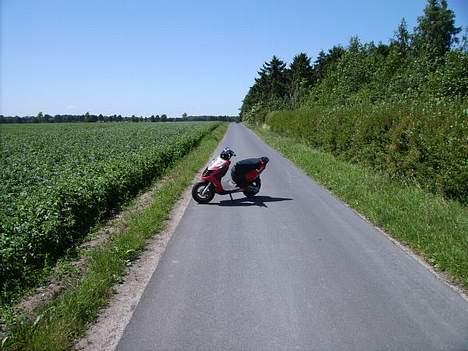 Aprilia Sonic GP billede 8