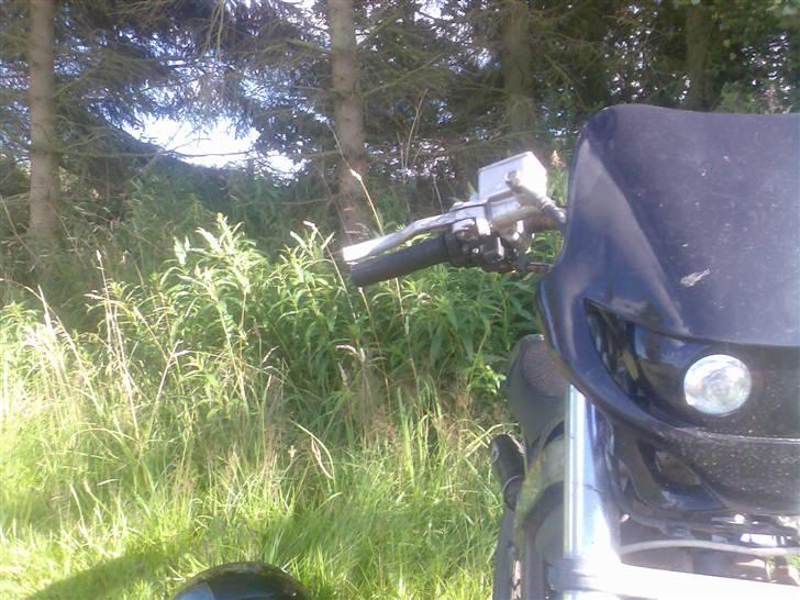 Suzuki street magic billede 2