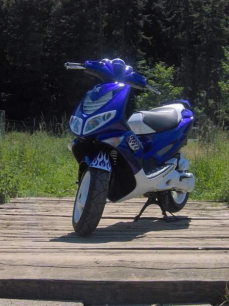 Peugeot Speedfight 2  WRC 206 AC billede 13