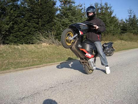 Aprilia Sonic GP billede 2