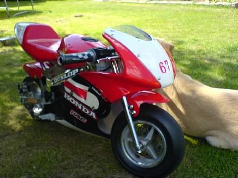 MiniBike Daytona G2 $$ Solgt $$ billede 16