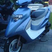 Honda SFX, TOTAL SKADET!