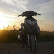 Honda SFX, TOTAL SKADET!