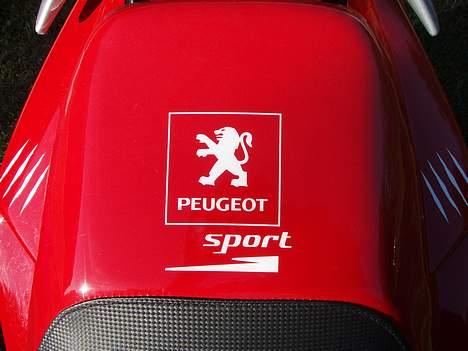 Peugeot Rally Victor *DK FØRSTE* billede 12