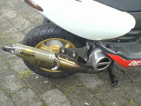 Aprilia Sonic GP SBK billede 3