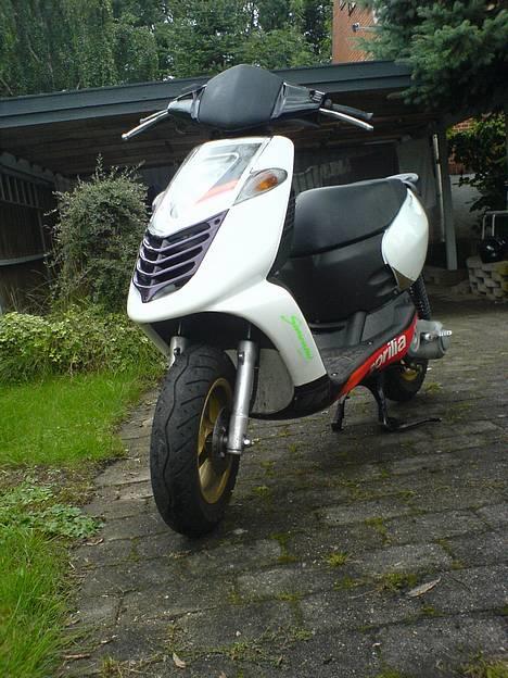 Aprilia Sonic GP SBK billede 5