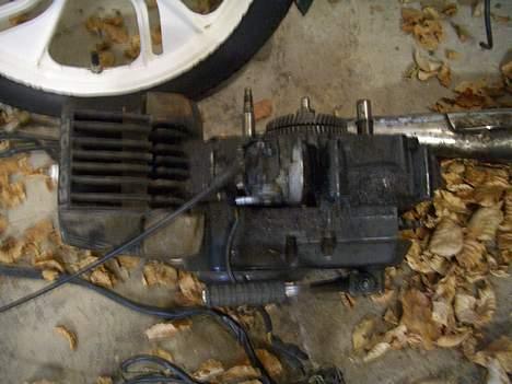 Tomos Quadro >>Solgt<< billede 4
