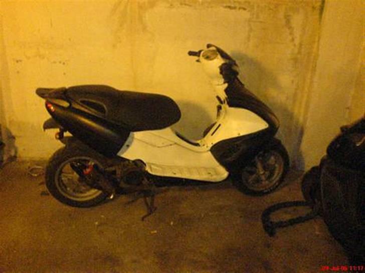 Benelli  491  billede 1