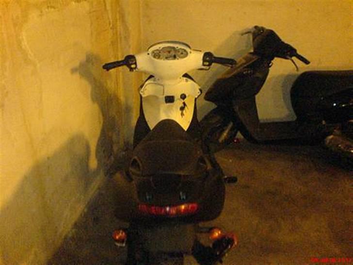 Benelli  491  billede 2