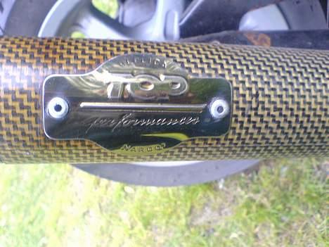 Benelli  491  billede 3