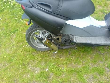 Benelli  491  billede 4